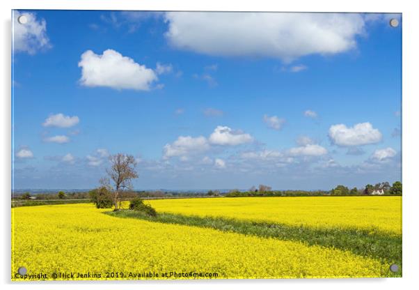 Rapeseed Field in the Cotswolds in Spring Acrylic by Nick Jenkins