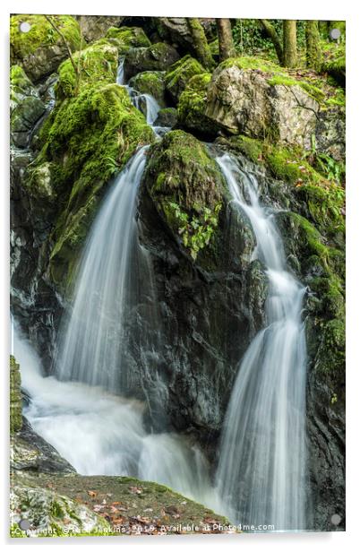 The Sychryd Falls at Pontneddfechan South Wales Acrylic by Nick Jenkins