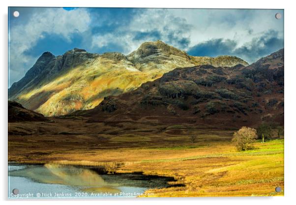 Langdale Pikes in the Lake District National Park  Acrylic by Nick Jenkins