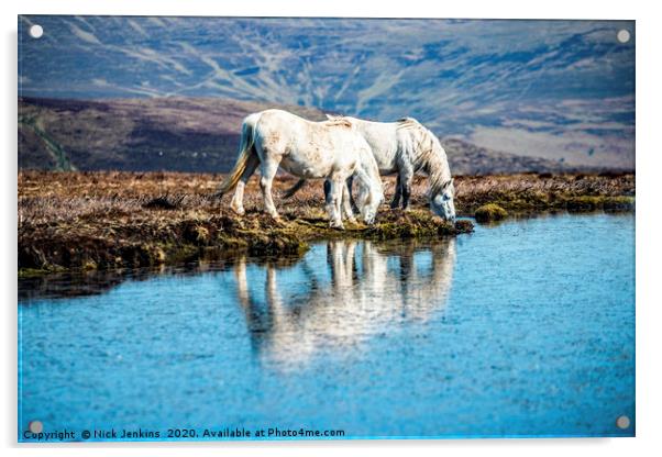 Two White Horses Mynydd Llangorse Brecon Beacons Acrylic by Nick Jenkins