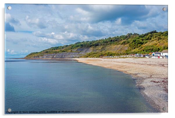 Monmouth Beach at Lyme Regis on the Dorset coast Acrylic by Nick Jenkins