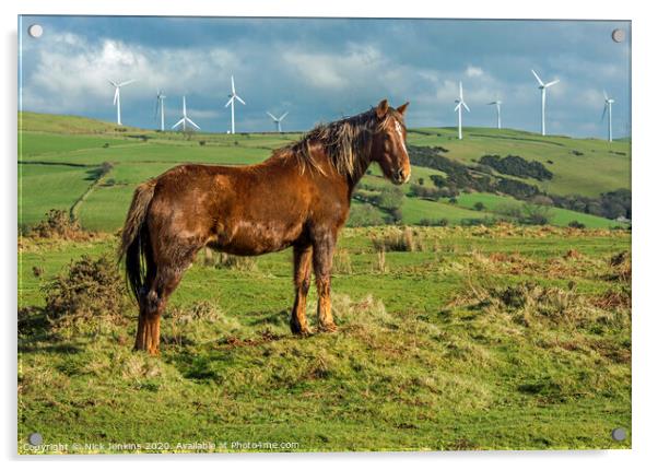 Brown Horse with backdrop of wind turbines south Wales  Acrylic by Nick Jenkins
