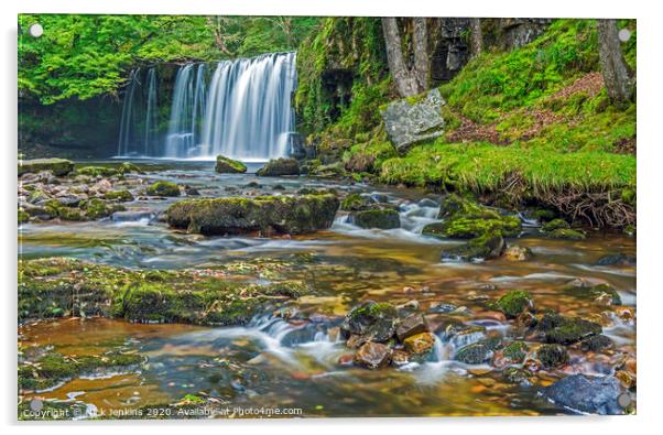 Upper Ddwli Waterfall Vale of Neath south Wales Acrylic by Nick Jenkins