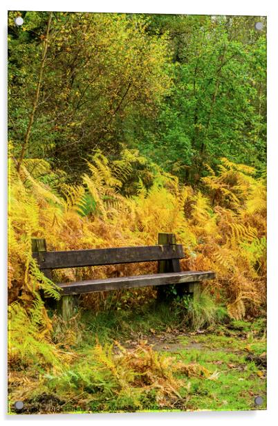 Bench in the Bracken at Cannop Ponds Forest of Dea Acrylic by Nick Jenkins