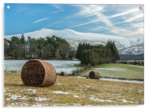 Pen y Fan and Corn Du from Mynydd Illtyd Common in Acrylic by Nick Jenkins