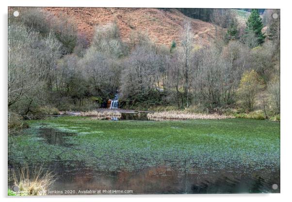 The Clydach Vale Upper Pond Rhondda Fawr Acrylic by Nick Jenkins