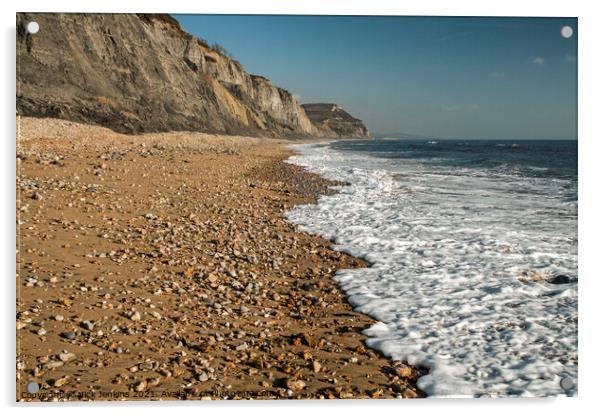 Charmouth East Beach on the Dorset Coast  Acrylic by Nick Jenkins