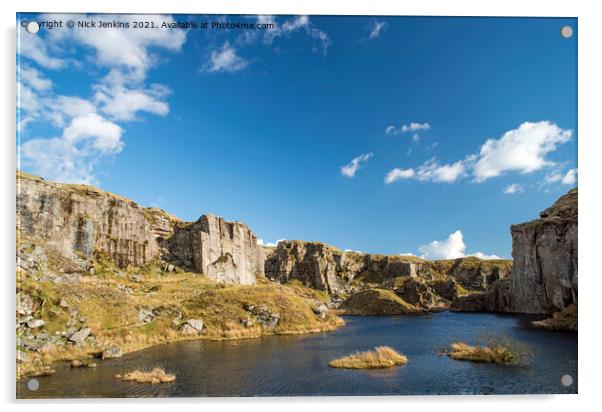 Foggintor Quarries near Princetown on Dartmoor Acrylic by Nick Jenkins