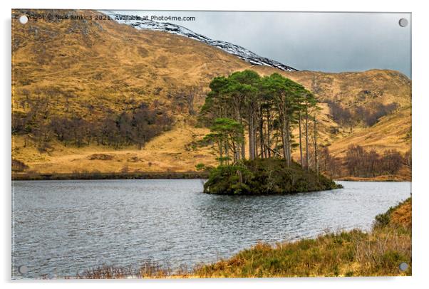 Pines Island Loch Eilt North West Scotland Acrylic by Nick Jenkins
