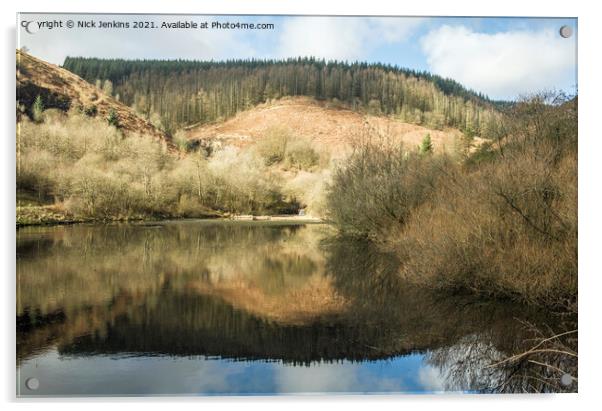 The Upper Pond at Clydach Vale in the Rhondda Fawr Acrylic by Nick Jenkins