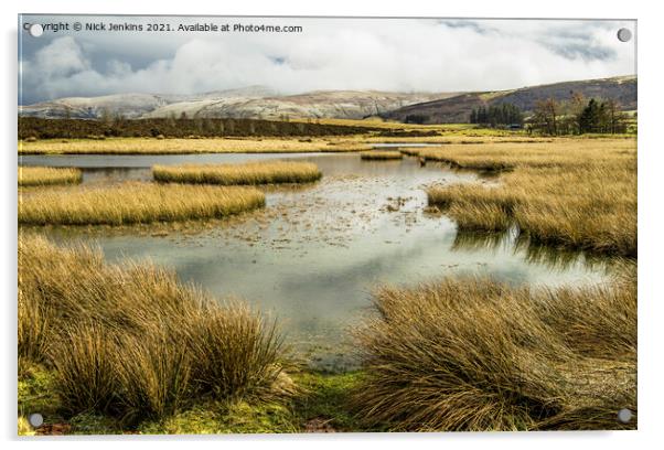 Looking across Mynydd Illtyd Pond Brecon Beacons Acrylic by Nick Jenkins