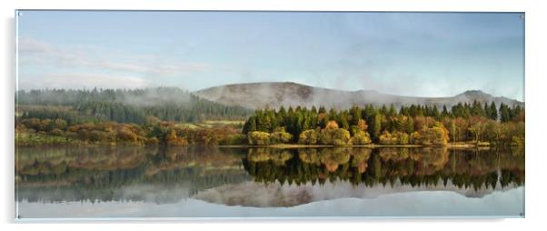 Autumn reflections  Acrylic by Paul Fine