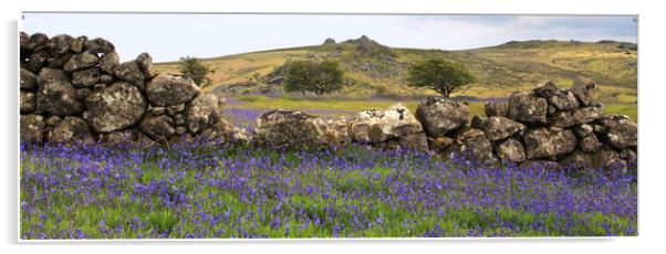 Dartmoor Spring  Acrylic by Paul Fine
