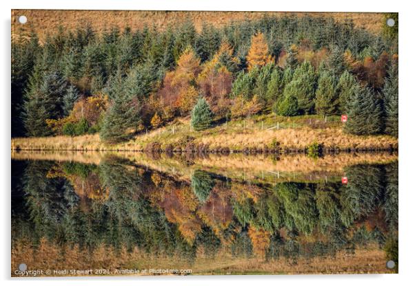 Autumnal Reflections Acrylic by Heidi Stewart