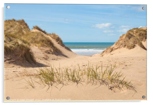 Sand Dunes Rhossili Bay Gower Acrylic by Heidi Stewart