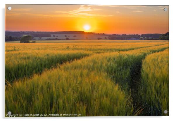 Sunset Over Wheat Fields Acrylic by Heidi Stewart