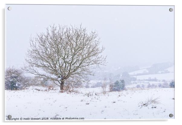 Heavy Snow on Llantrisant Common Acrylic by Heidi Stewart