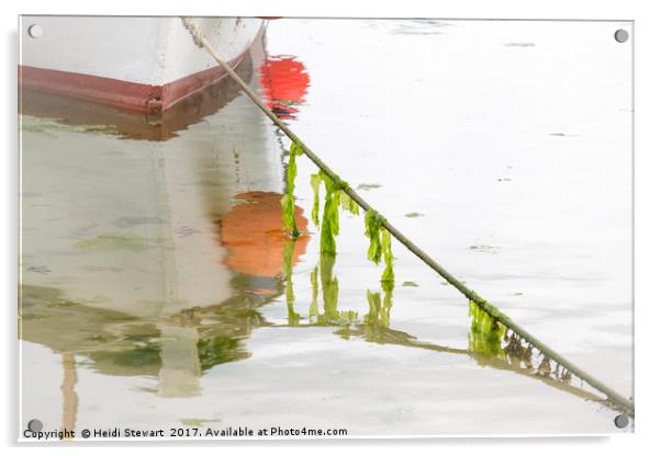 Seaweed and Boat Reflected Acrylic by Heidi Stewart