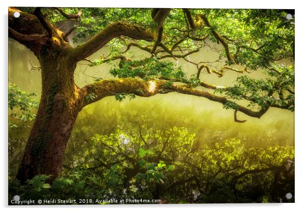 The Magic Tree Acrylic by Heidi Stewart