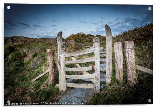The Gate, Llandwyn Island Acrylic by Heidi Stewart