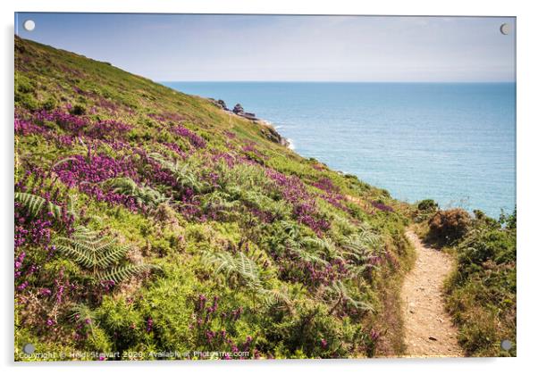 Coastal Path West Cornwall Acrylic by Heidi Stewart