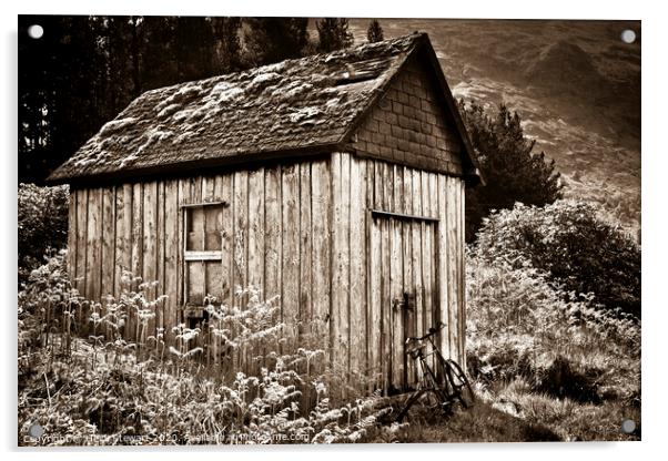 Old Shed and Bicycle, Scotland Acrylic by Heidi Stewart