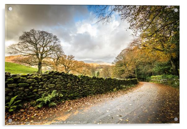 Autumnal Country Lane Acrylic by Heidi Stewart