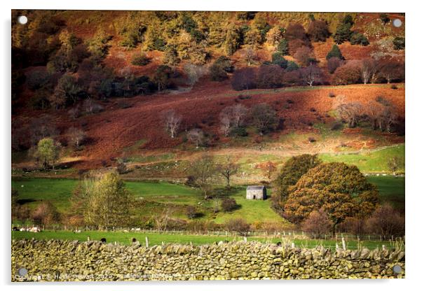 Old Barn in Autumn Time Acrylic by Heidi Stewart