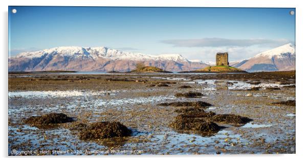 Castle Stalker, Scottish Highlands Acrylic by Heidi Stewart