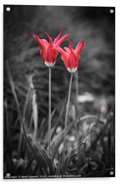 Standing Out in a Crowd Acrylic by Heidi Stewart