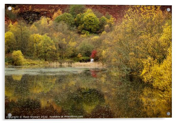 Clydach Vale Country Park, Rhondda Valley Acrylic by Heidi Stewart