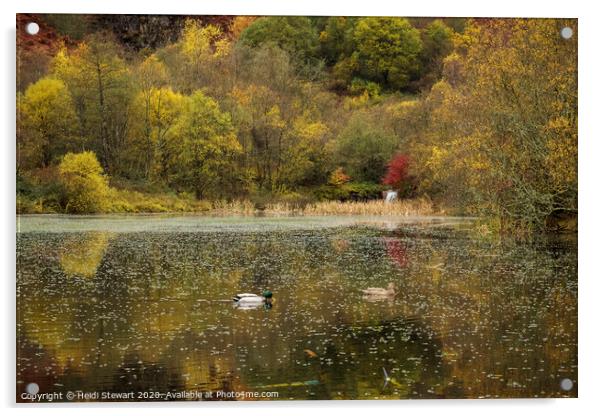 Clydach Vale Country Park, Rhondda Valley Acrylic by Heidi Stewart