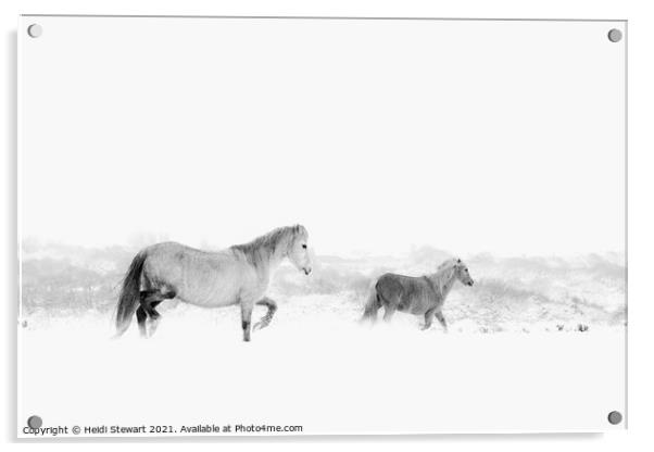 Horses in the Snow Acrylic by Heidi Stewart