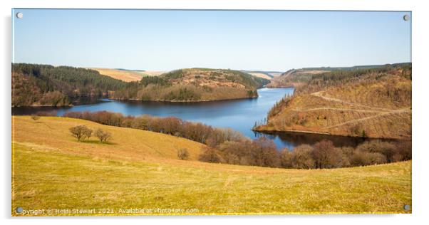 Llyn Brianne Reservoir, Mid Wales Acrylic by Heidi Stewart