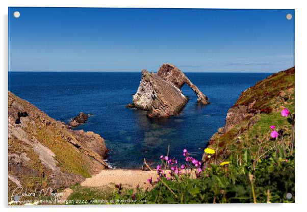 Bow Fiddle Rock Bay Acrylic by Richard Morgan