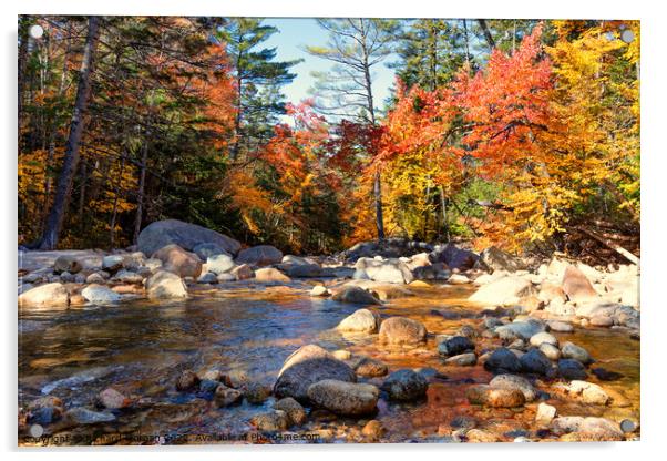 Pemigewasset River Acrylic by Richard Morgan