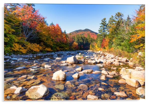 Swift river fall Acrylic by Richard Morgan