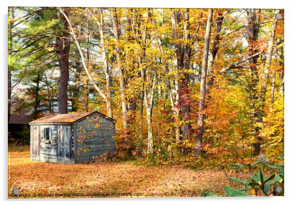 Old shack in the fall in New Hampshire. Acrylic by Richard Morgan