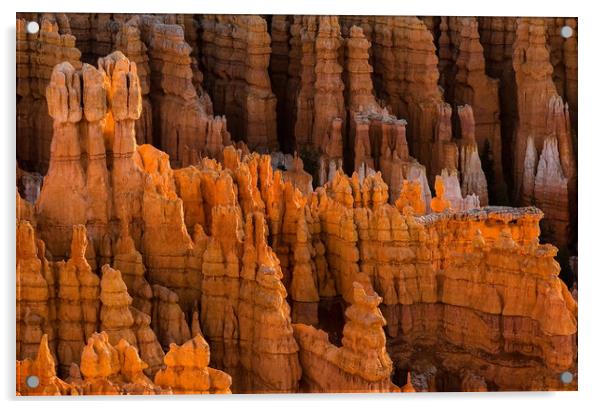 Hoodoos Bryce Canyon Acrylic by Matt Johnston