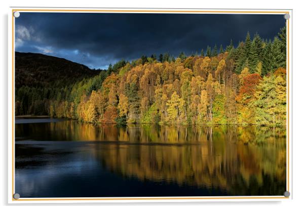 Perthshire Autumn Acrylic by Matt Johnston