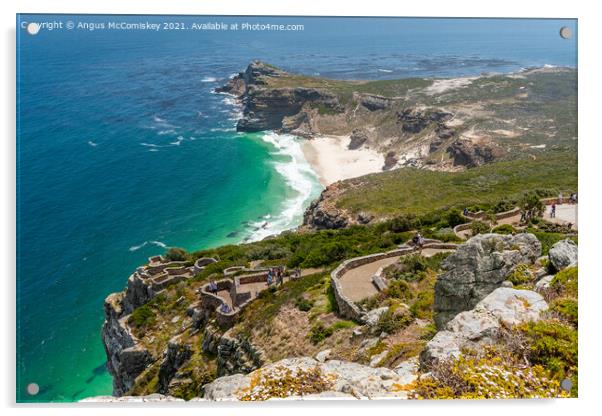 Cape Point South Africa Acrylic by Angus McComiskey