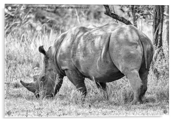 Southern White Rhino, Uganda mono Acrylic by Angus McComiskey