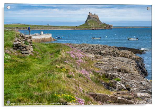 Wildflowers and sea cliffs, Holy Island Acrylic by Angus McComiskey