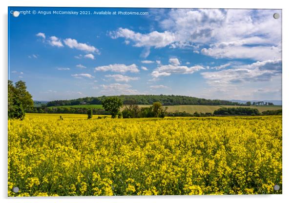Yellow rapeseed field near Dalmeny, Scotland Acrylic by Angus McComiskey