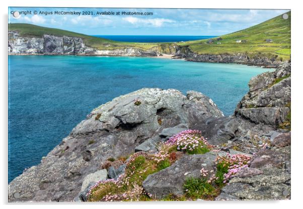Slea Head coast on Dingle Peninsula Acrylic by Angus McComiskey