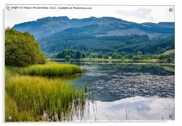 Loch Lubnaig reeds Acrylic by Angus McComiskey