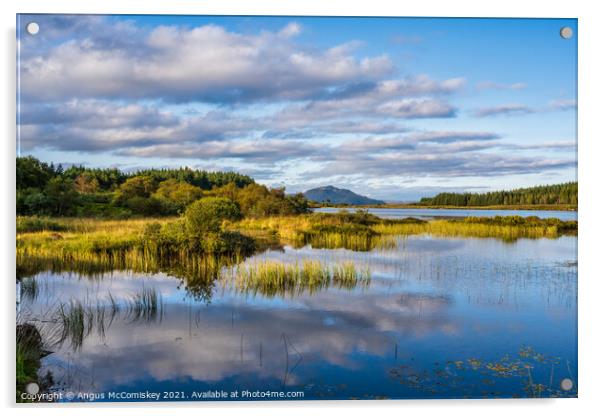 Loch Peallach, Isle of Mull Acrylic by Angus McComiskey