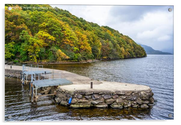 Inversnaid Pier on Loch Lomond Acrylic by Angus McComiskey