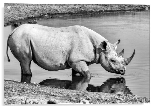 Black rhino at the waterhole mono Acrylic by Angus McComiskey