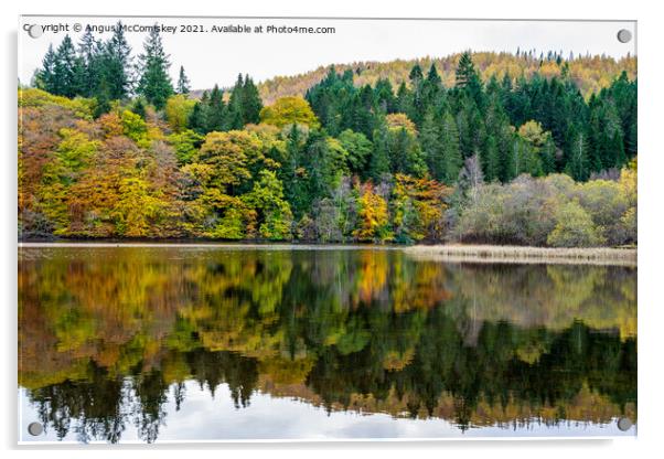 Autumn colours on Loch Faskally, Perthshire Acrylic by Angus McComiskey